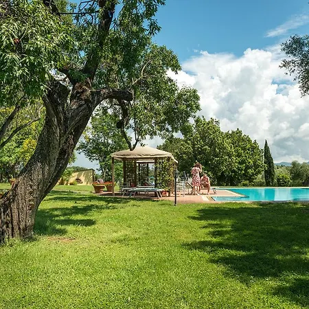 Il Martellino פולוניקה